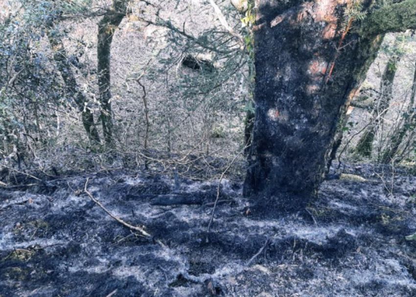 fire-in-killarney-national-park-started-by-disposable-barbeque