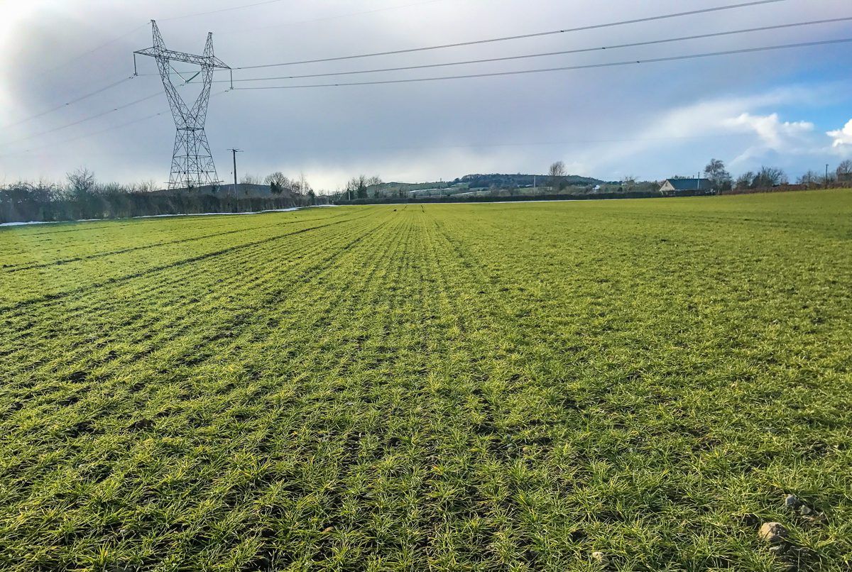 Tillage focus: Lots of work to be done as weather picks up