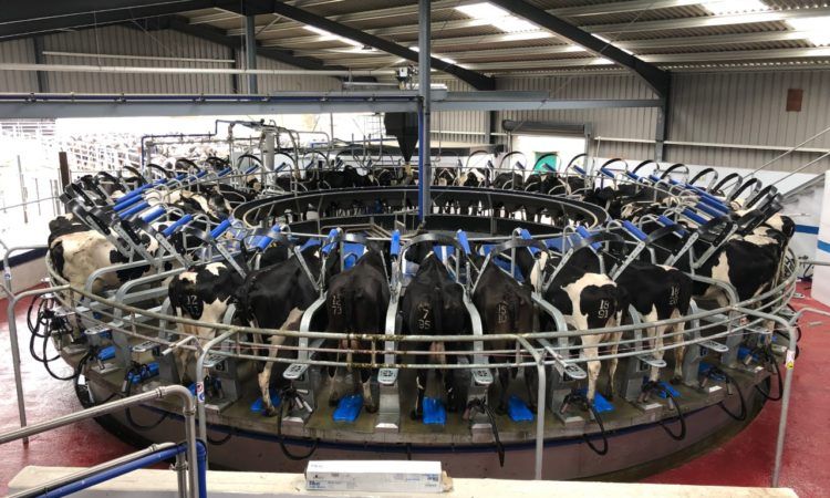 Back In Focus: Milking 250 cows through a brand new 40-unit rotary parlour