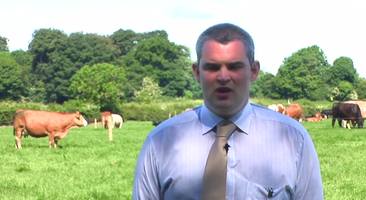 Teagasc videos on dairy calf to beef, grass management from Grange 2014