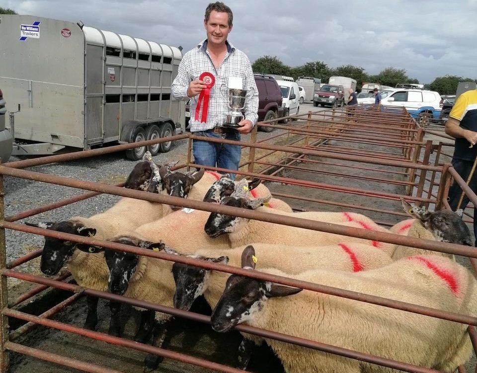 Ewe lambs hit €275 at Tullow Sheep Breeders 34th annual show and sale