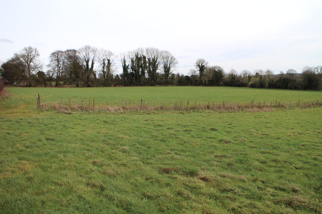 'Rose View': Agricultural land on 71ac with 140m of road frontage - to go on the block