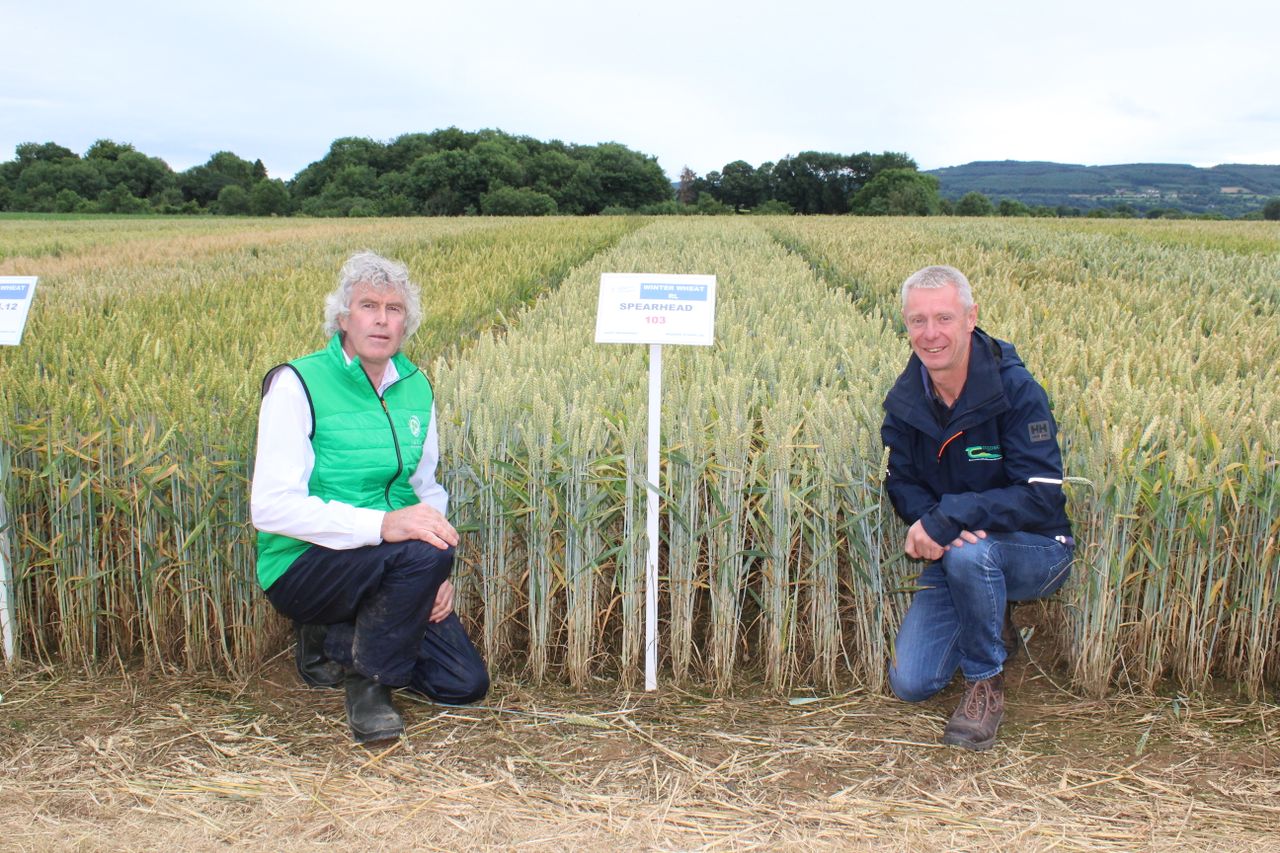 Tillage: Start of 2023 cereal harvest could start in coming days