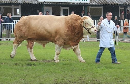 An abundance of agri shows in the south this Sunday