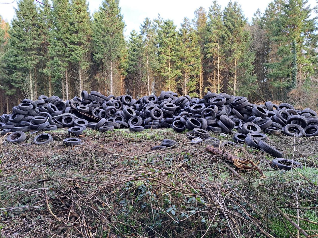 Meath council investigates dumping of over 3,000 tyres