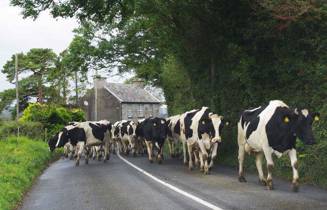 Poll: Should farmers' own labour costs be included in the National Farm Survey?