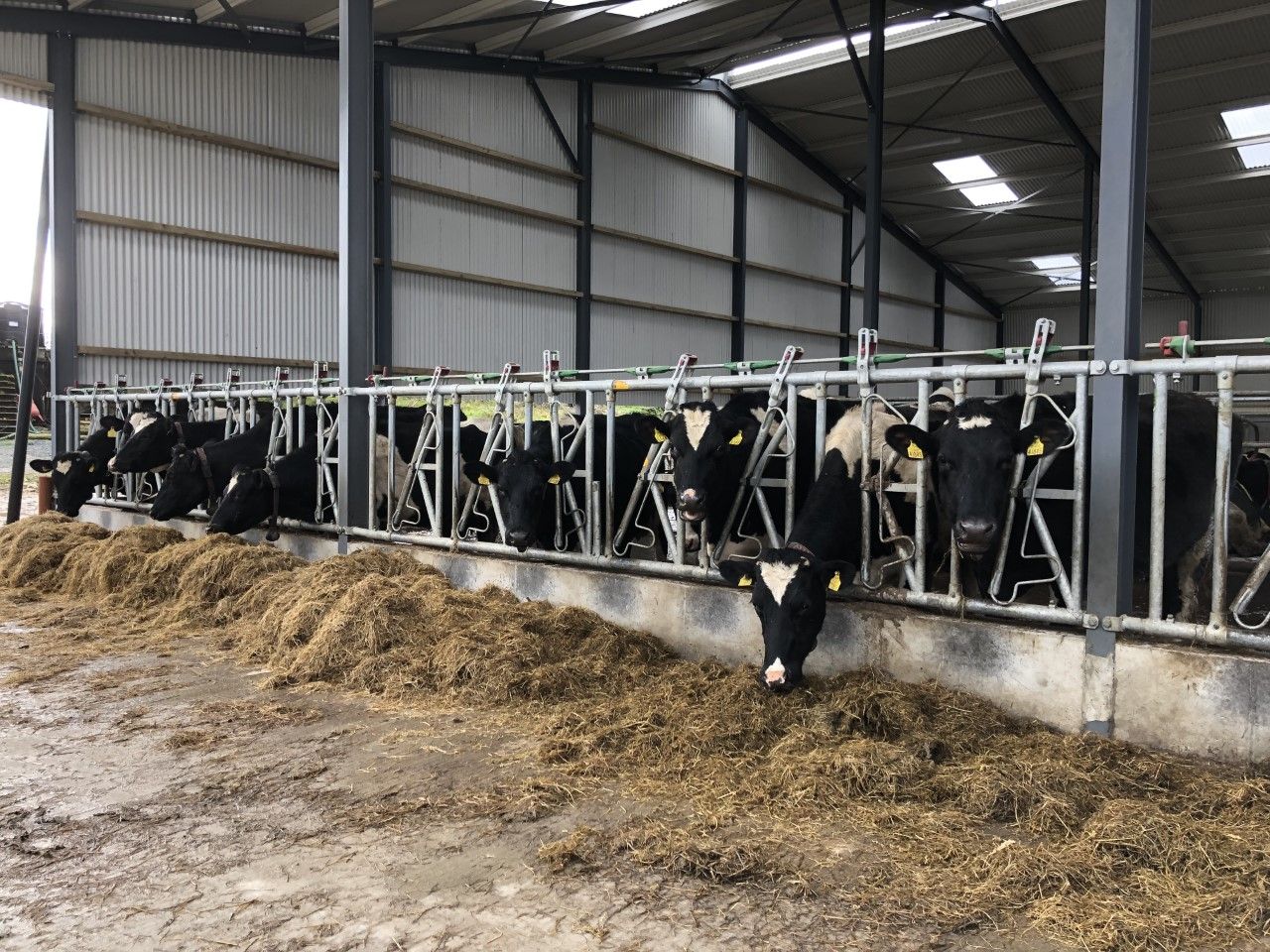 Preparing for a 'cold snap' on farms