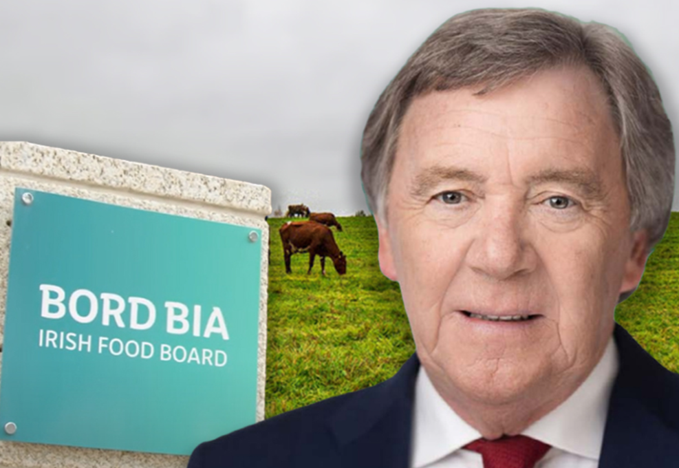 Interview: 'Common sense must prevail' - Bord Bia chair Larry Murrin