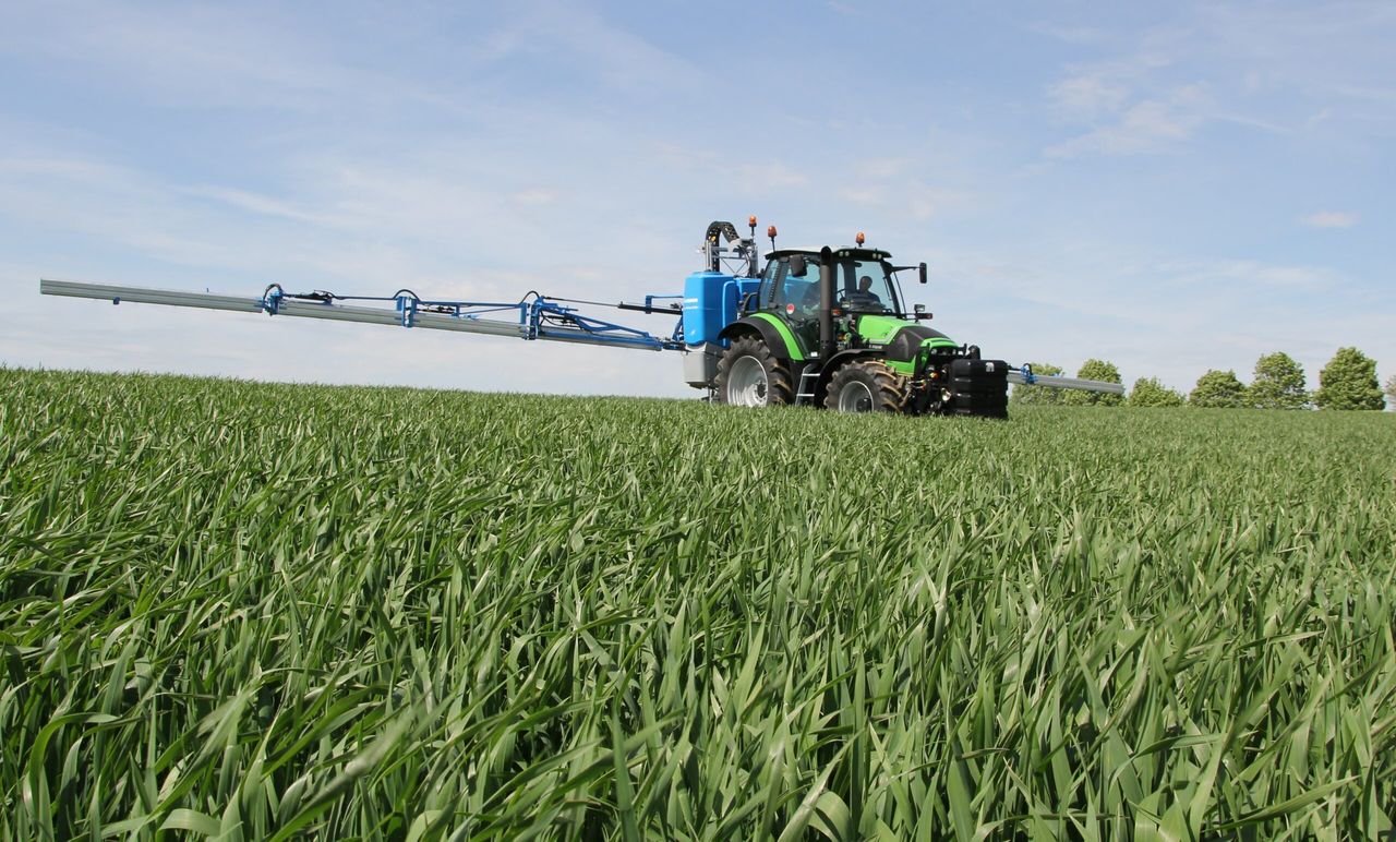 Wheat DNA shows visually clean crops had high levels of Septoria