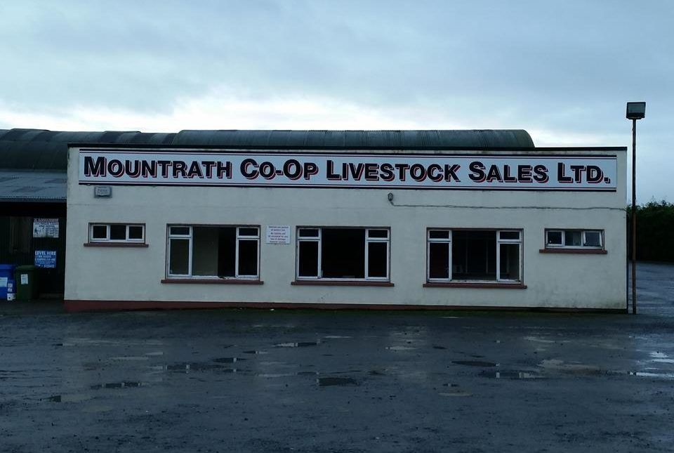 Mountrath Mart aiming to resume sales in July