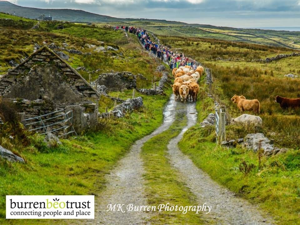 Burren farmer to lead Winterage Community Cattle Drive