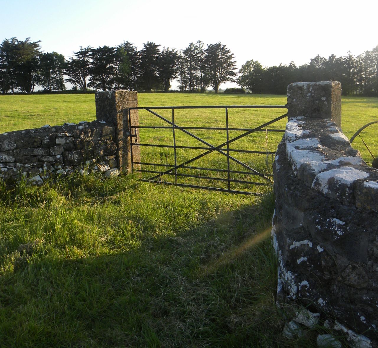 Efficient lamb production: 'Closing the gate could make you money'