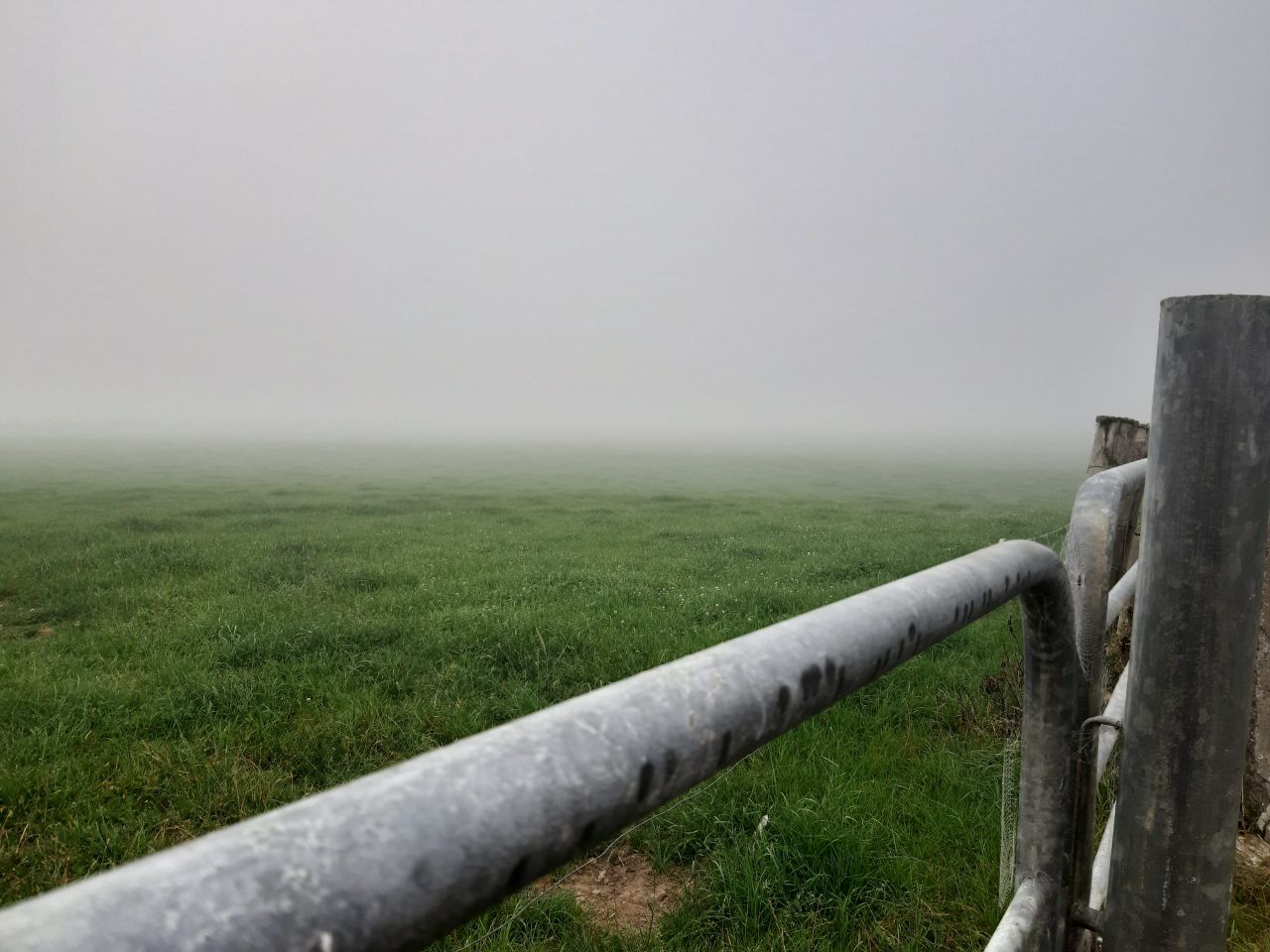 Met Éireann issues nationwide warning for fog