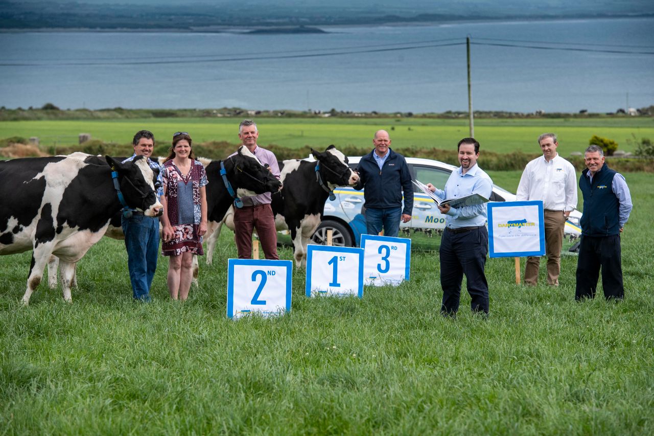 Kerry Holstein Friesian herd competition officially launched