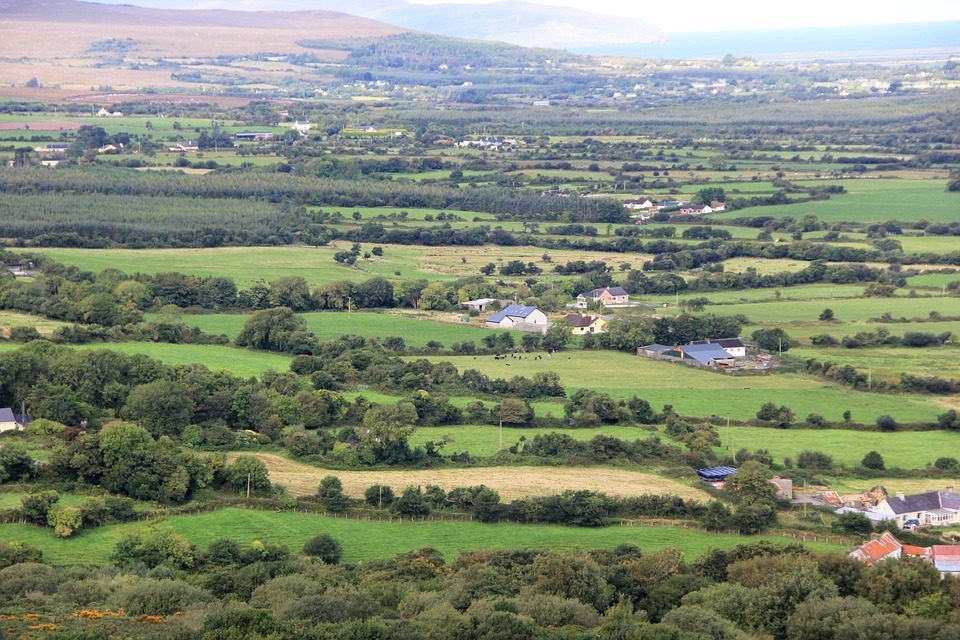 Farmers 'do not want housing estates' on land - Taoiseach