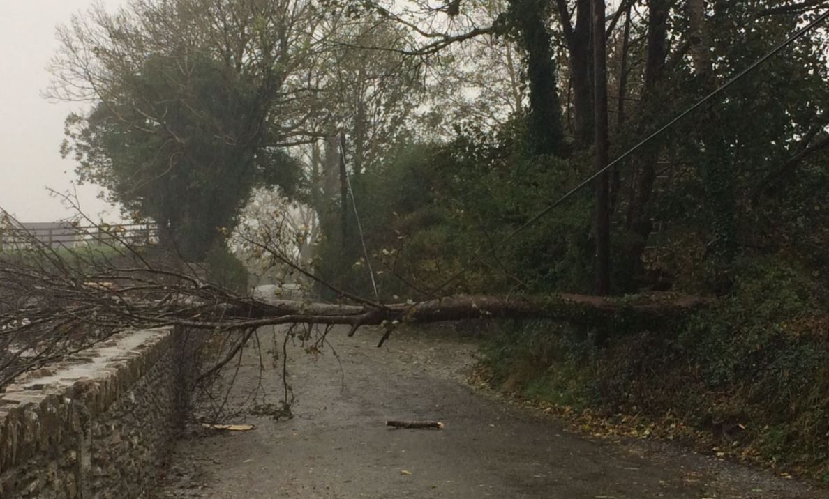 CCAC: Not enough action taken after previous storm fallout