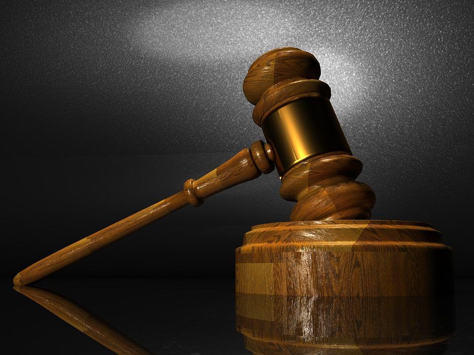 Department opposes bid by convicted Galway vet to obtain court transcript