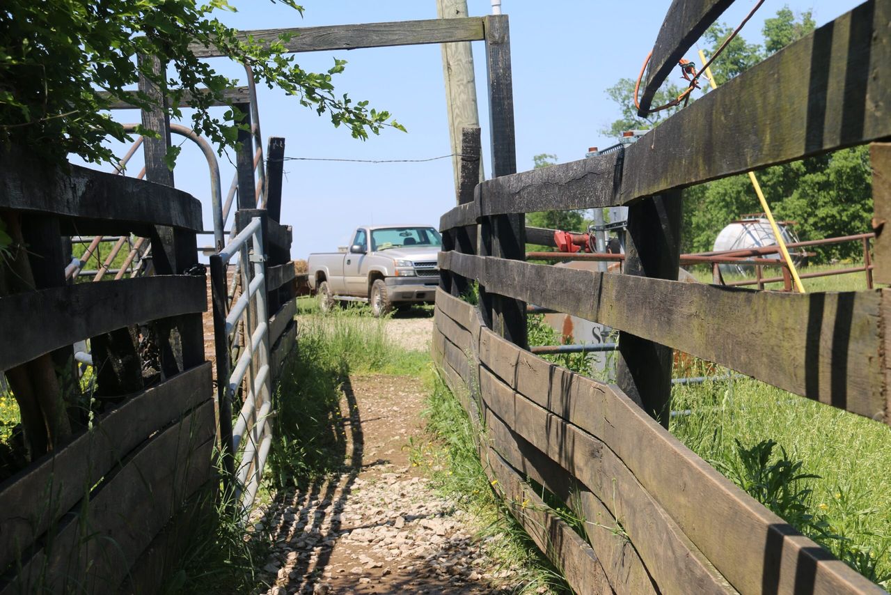 Beef, bourbon and bluegrass: Beef farming in Kentucky