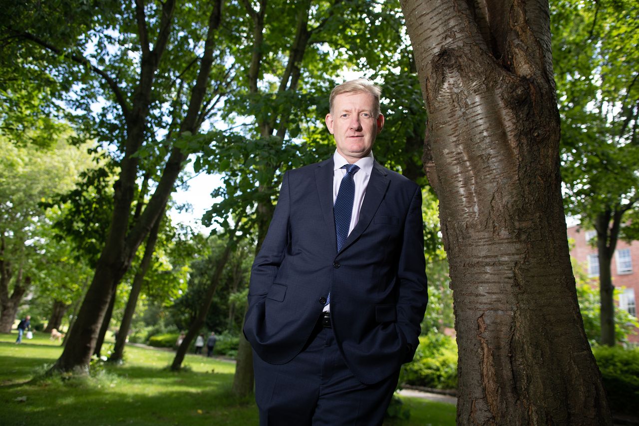 Irish company launches new forest carbon measurement platform
