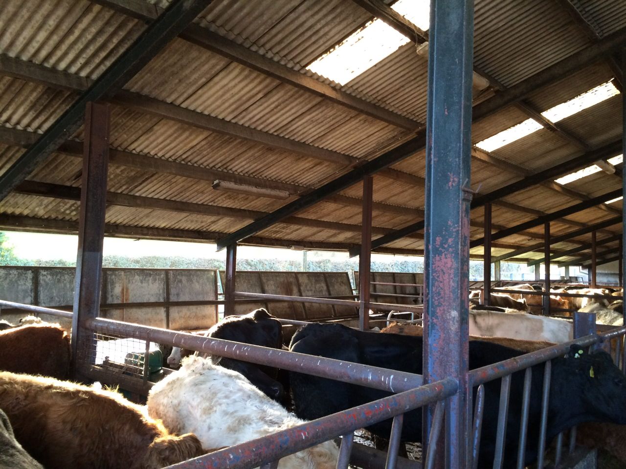 Farmers can now apply for TAMS funding to replace roofs