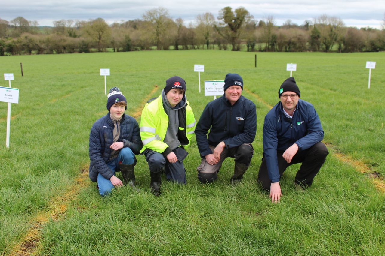 Three-leaf rule remains the grazing yardstick