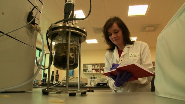 Tasty seaweed, Teagasc researchers on the big screen tonight
