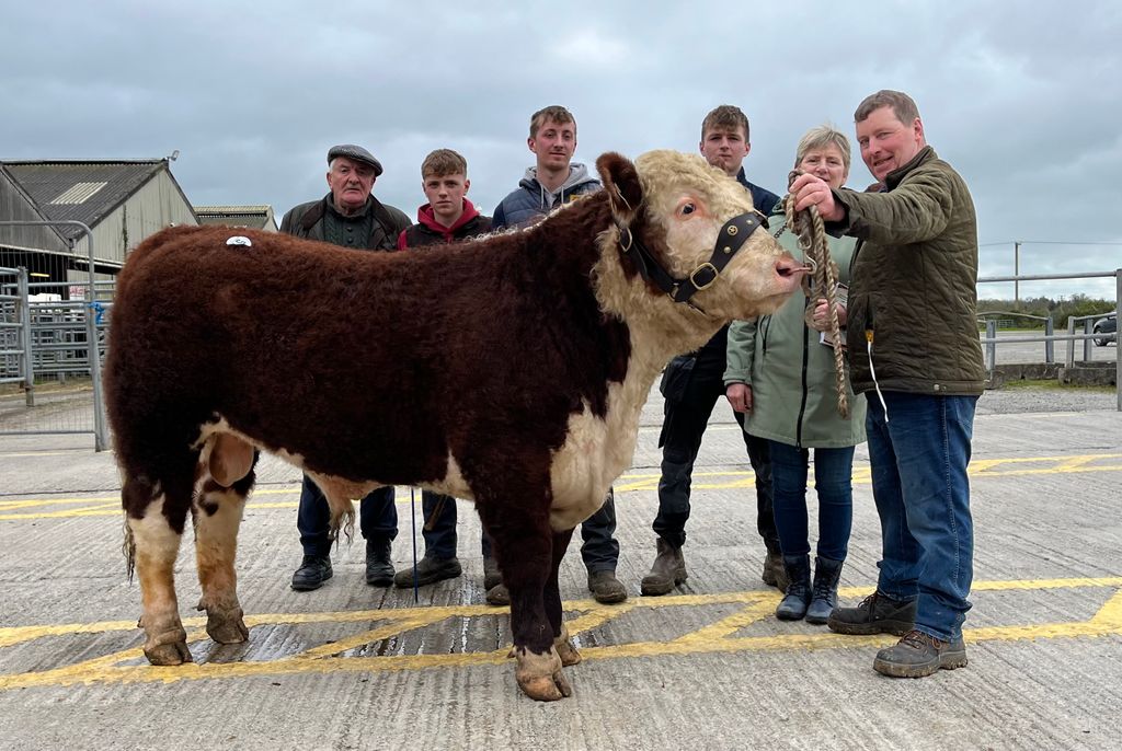 Sale topper Ballinveney Fireball with purchaser John Holloway, breeders Brian, Dan, Seamus, Noreen and Rory Farrell