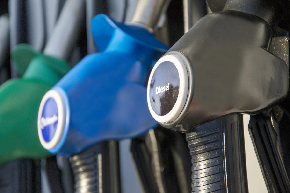 Transport in transition: Biofuel obligation to increase from January