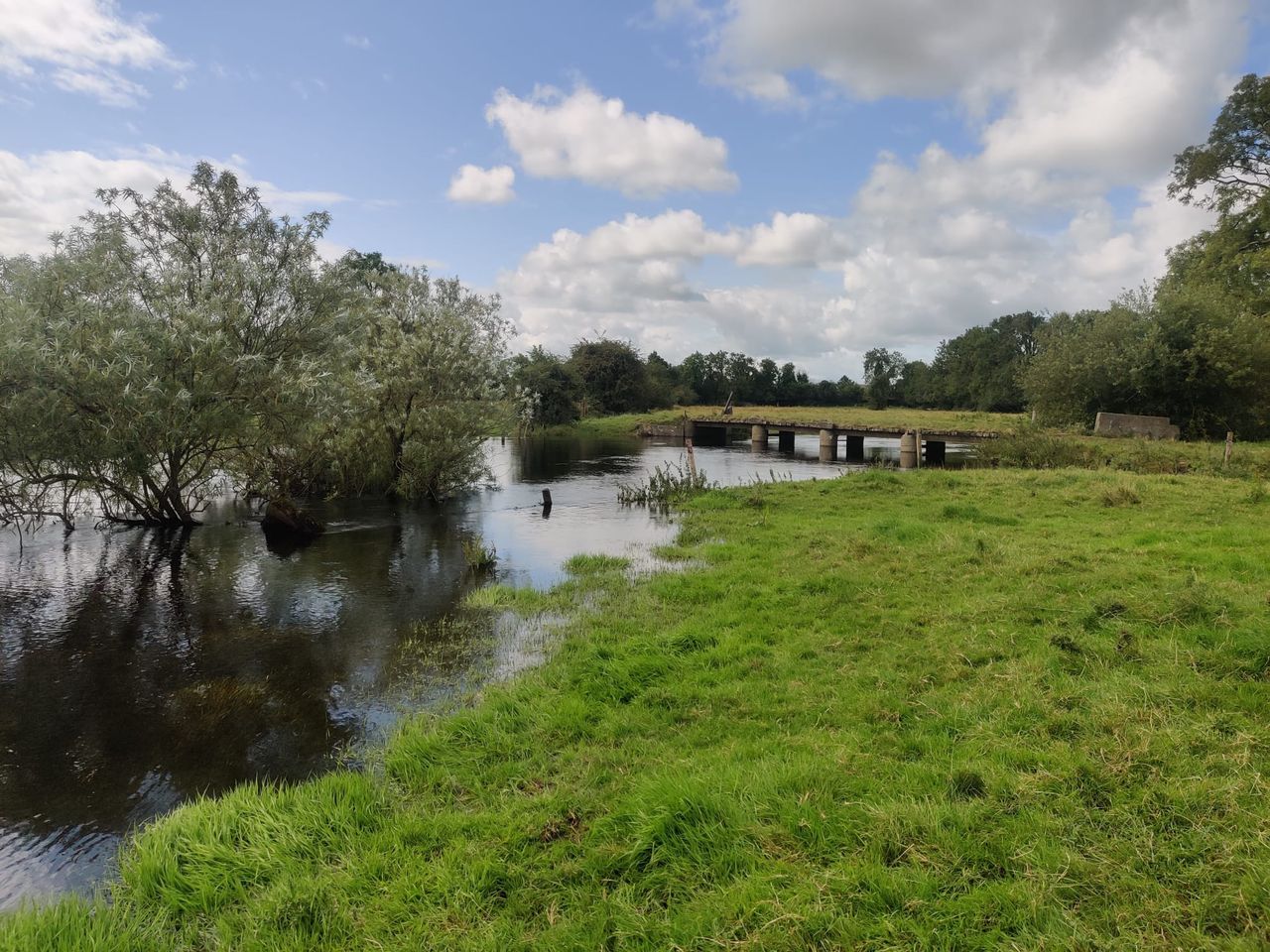 Video: Farmers seek compensation after Shannon flooding