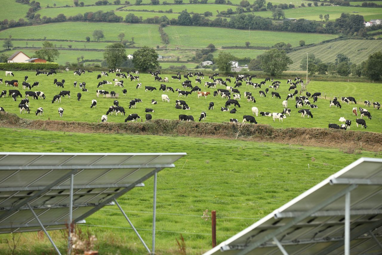'Farmers are being used as political cover by the IFA' - An Taisce