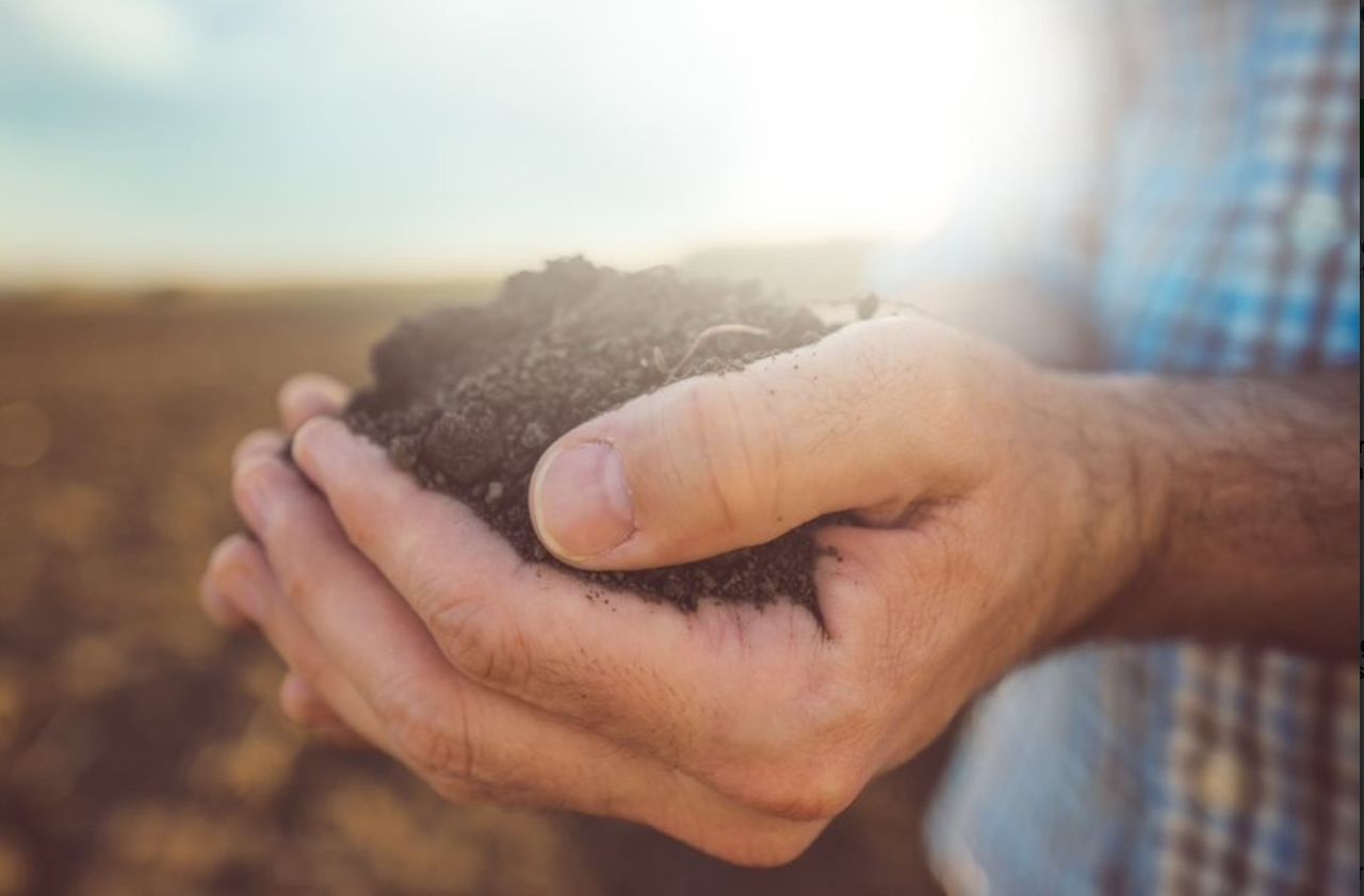 What do you need to know about the new EU soil monitoring law?