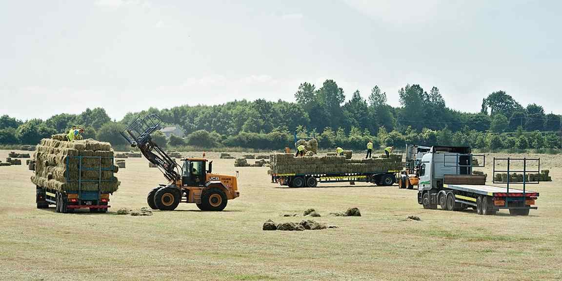 Stunning Coolmore Farm, hay harvest facts 2013