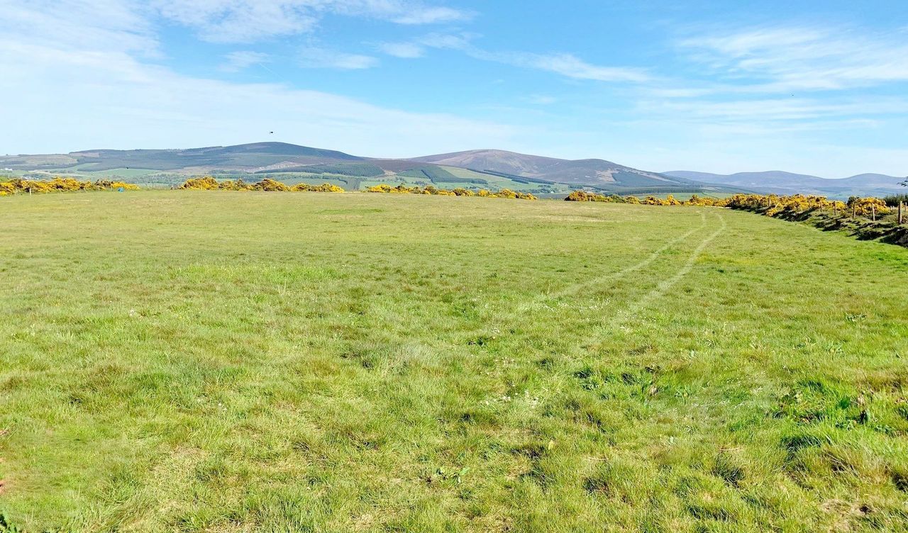 42ac farm for sale in '1 or 2 lots' on the Dublin/Kildare border