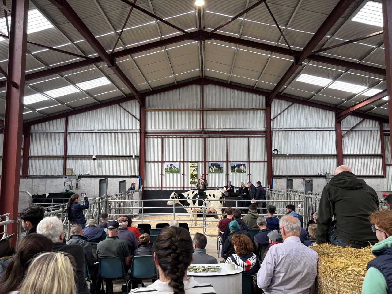 Radney Swish Triempress sold for €3,800 at the Proven Protein sale.