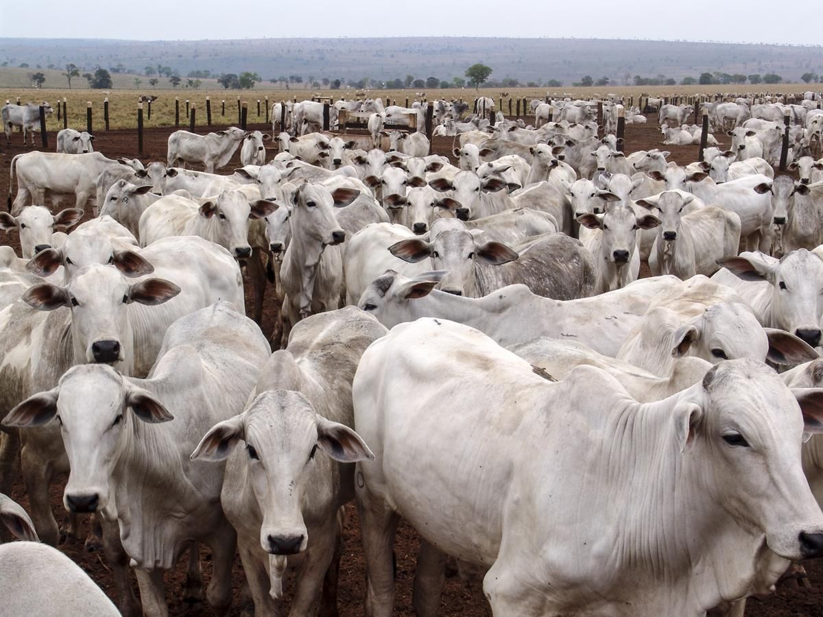 Letter to the editor: Mercosur trade deal is outdated