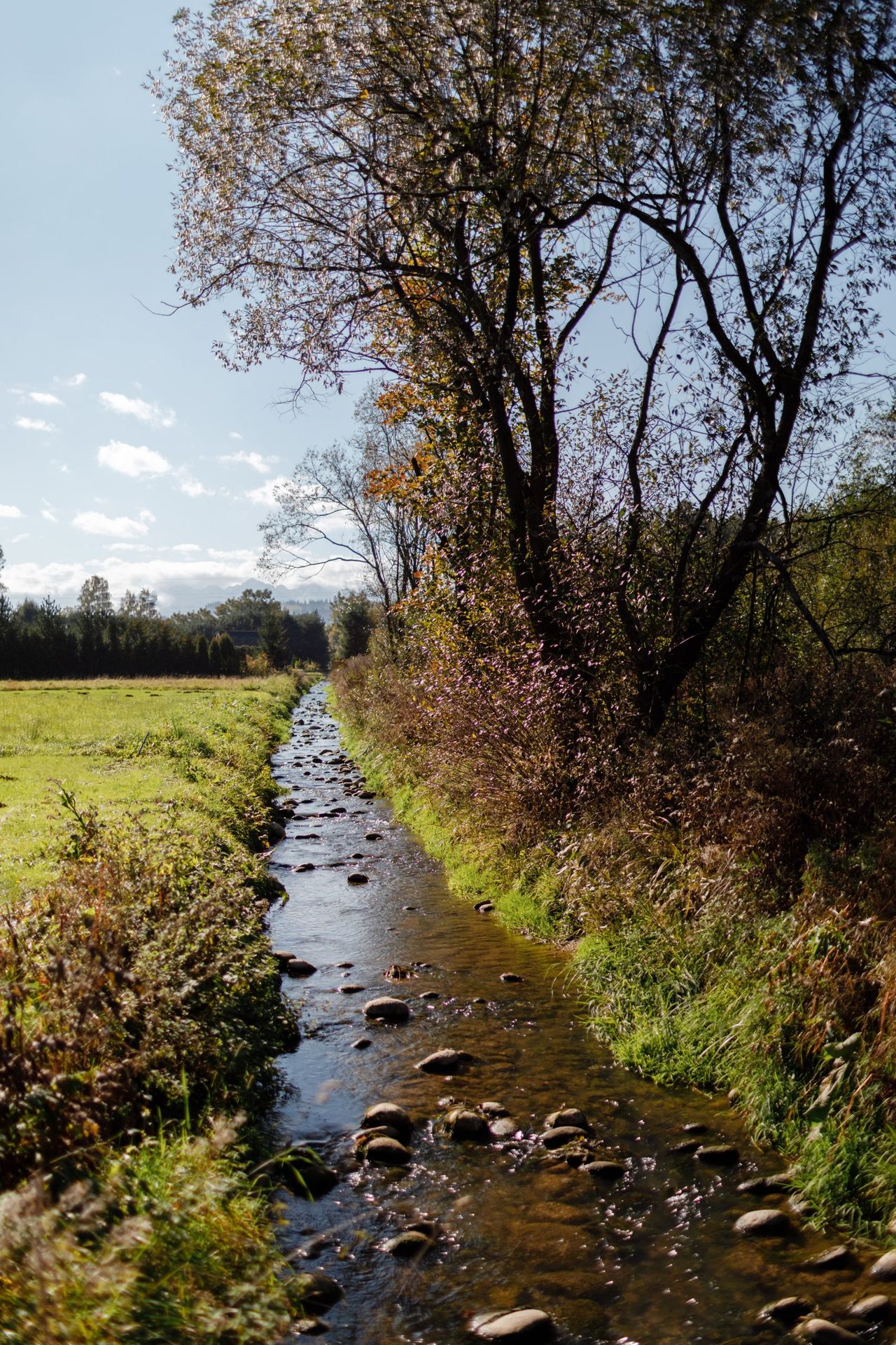 Could an 'emissions trading scheme' approach help improve Irish water quality?