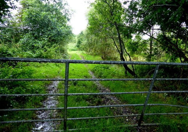 Letter to the editor: 'The forgotten farmers were promised the sun, moon and stars, but...'