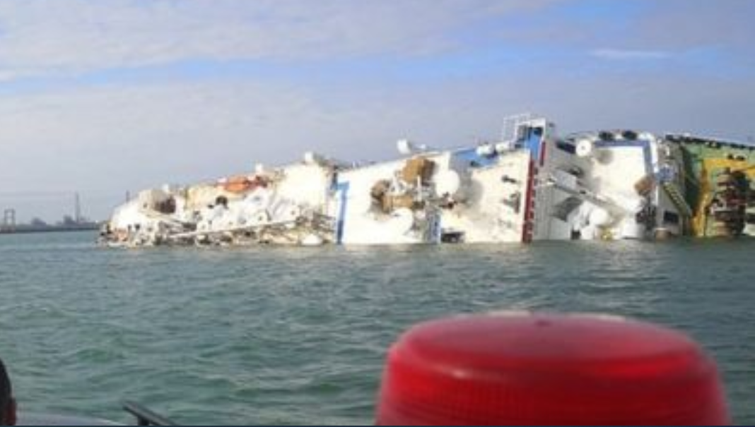 Ship carrying 14,600 sheep capsizes off Romanian coast