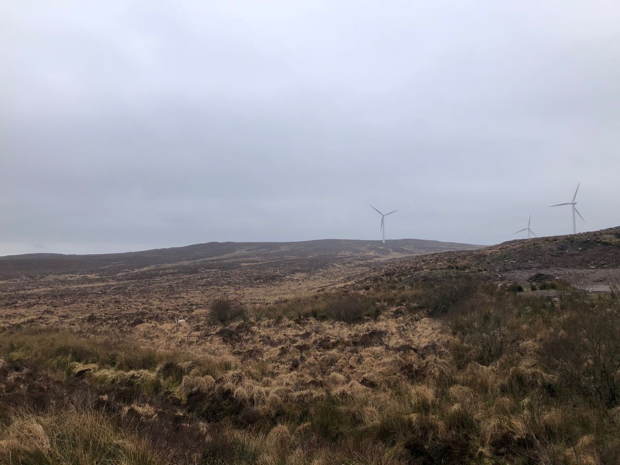 Plan for Offaly wind farm 'profoundly disappointing' - Nolan