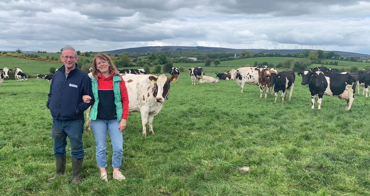 Cavan creche is class act as it imparts farm life lesson videos