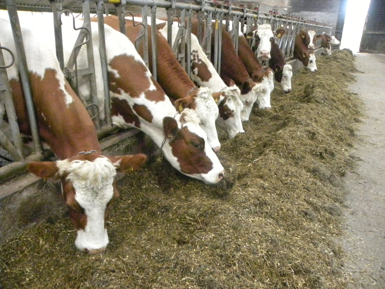 New EU organic rules outlined