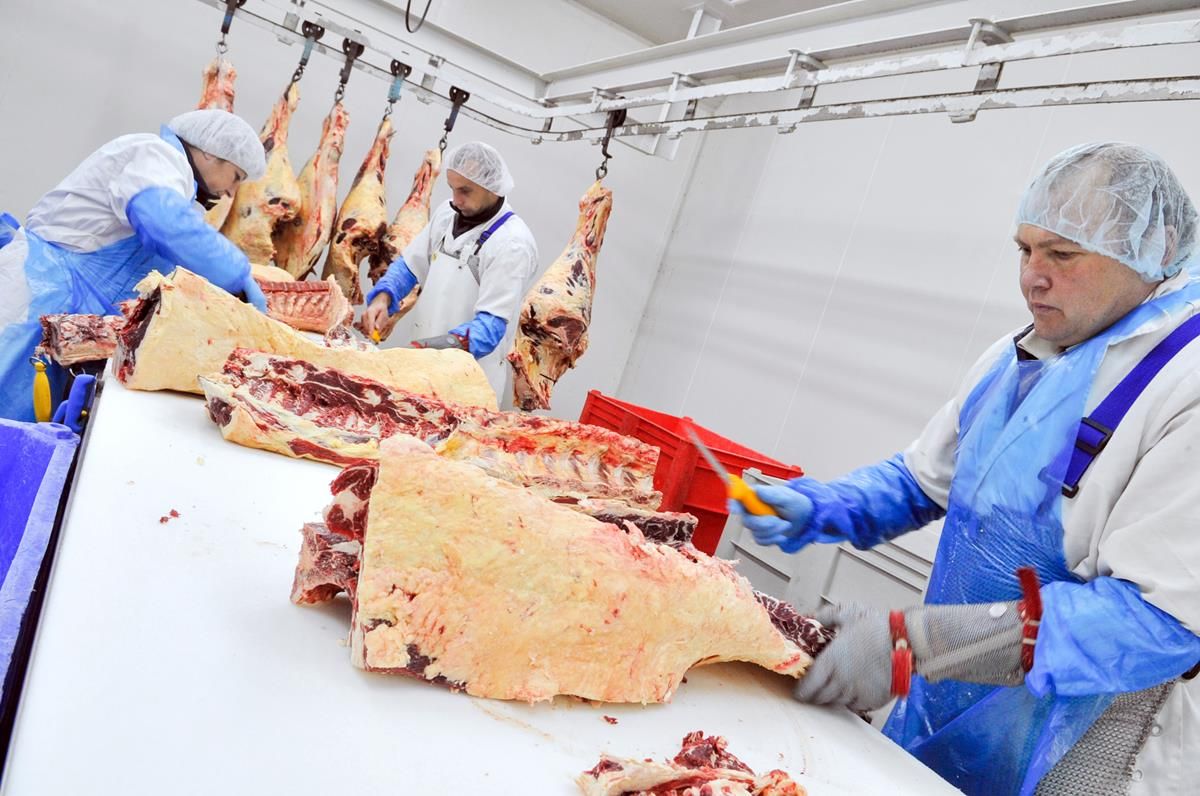 Beef cattle supplies up 2.6% on 2017