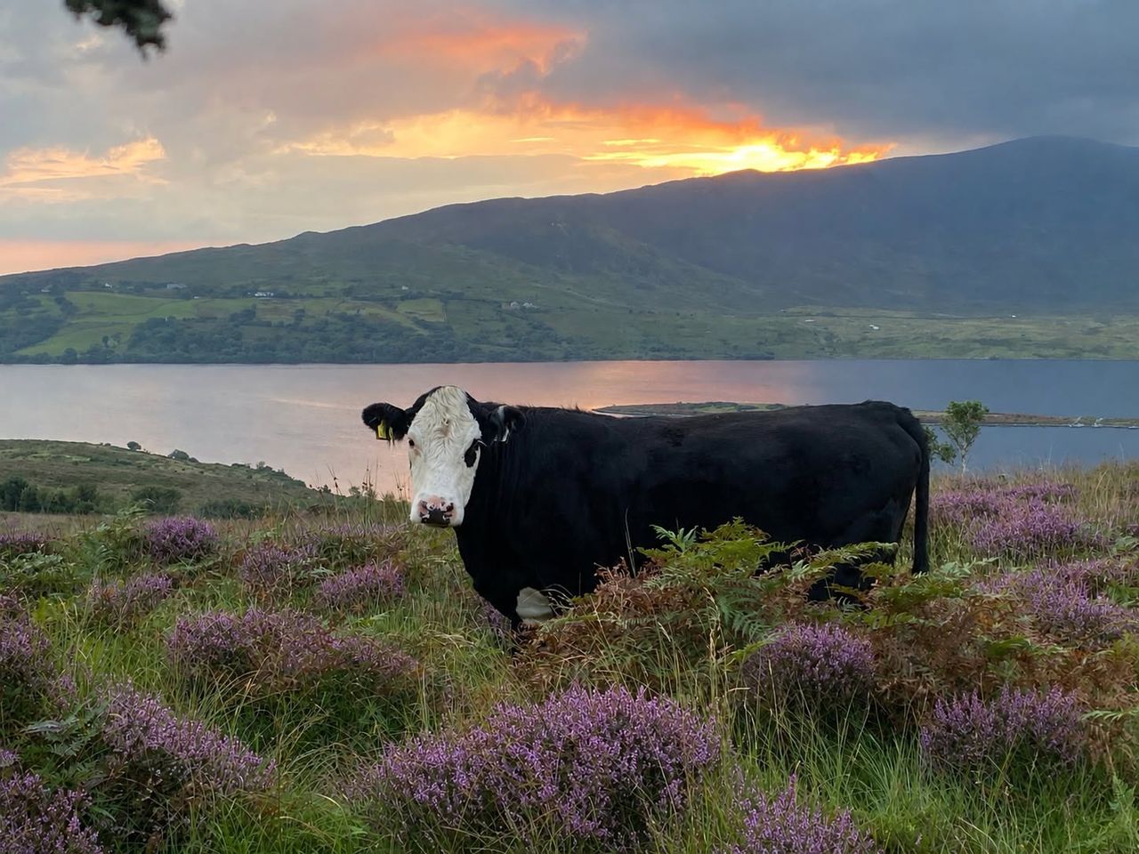 'Say cheese': Winners announced in Hereford photography competition