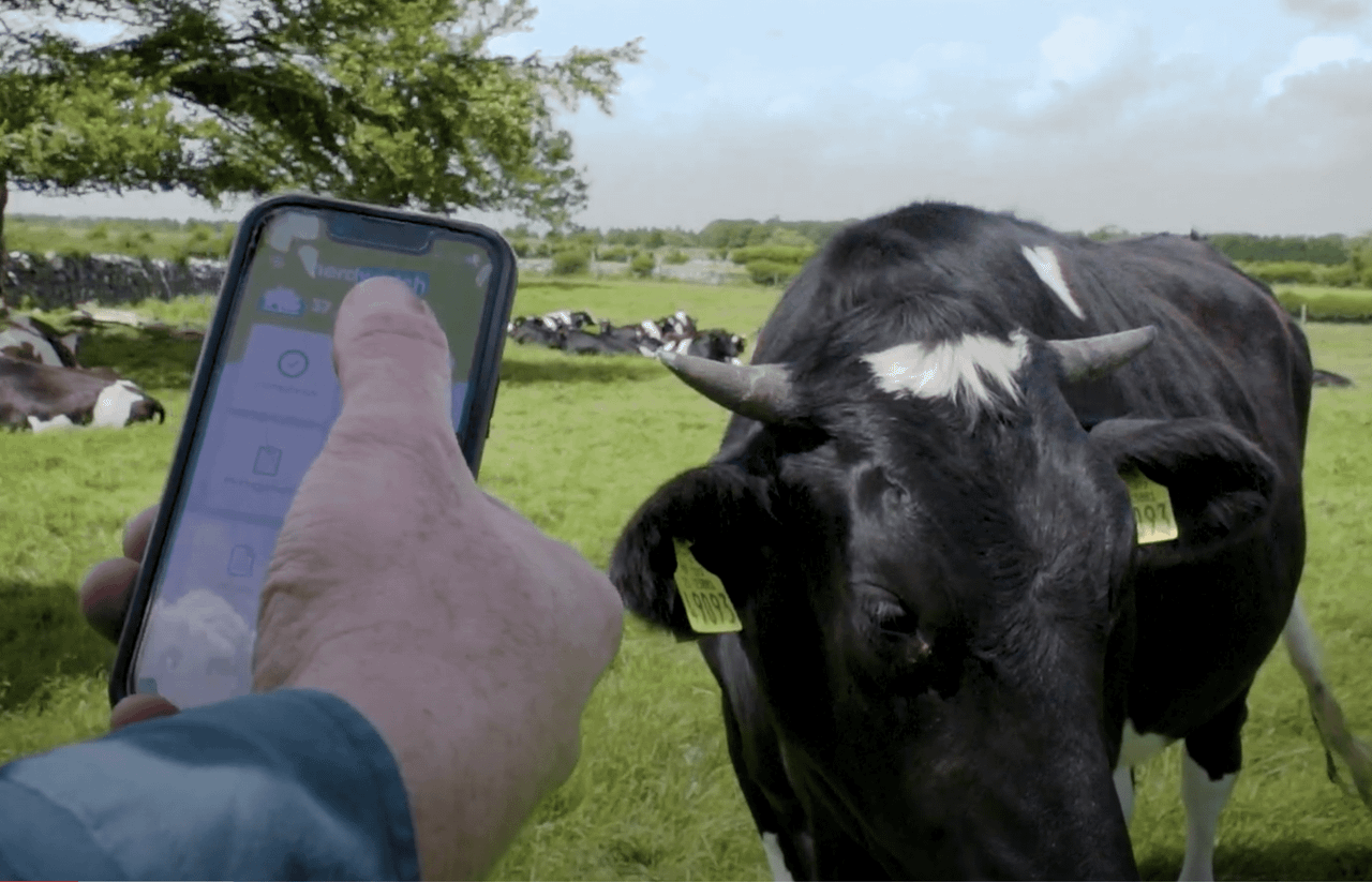 Rory Best inspires Galway farmer's herd management decision