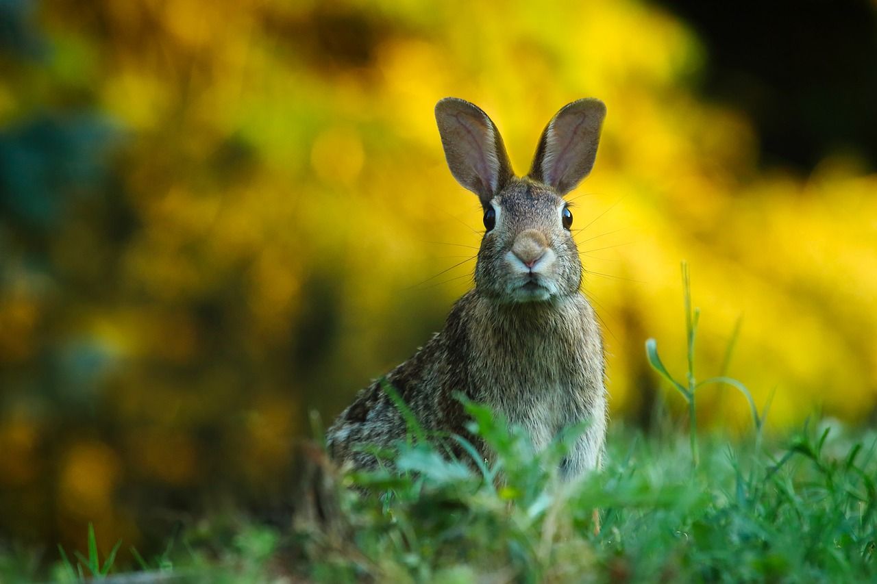 Farmers urged to apply to NPWS farm scheme