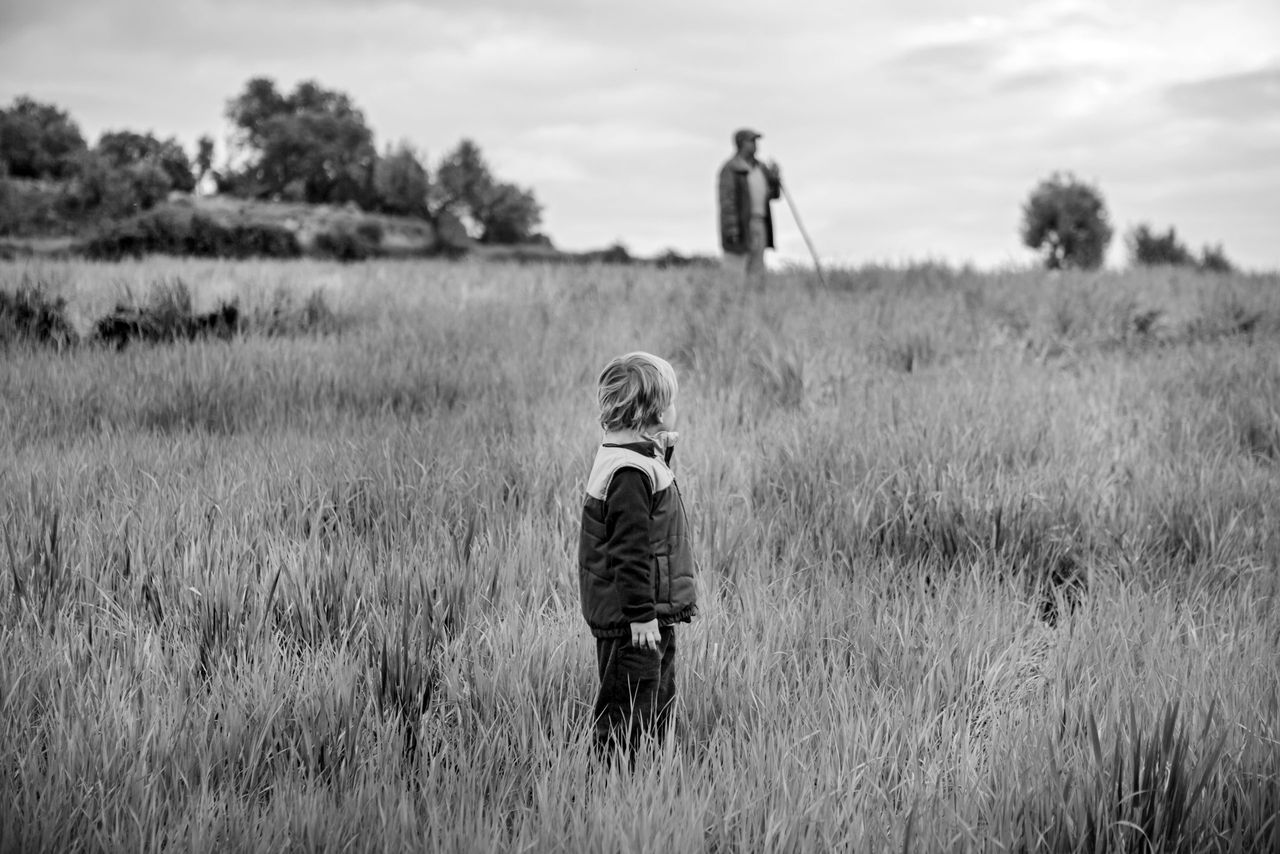 Organics can provide pathway to viability and succession