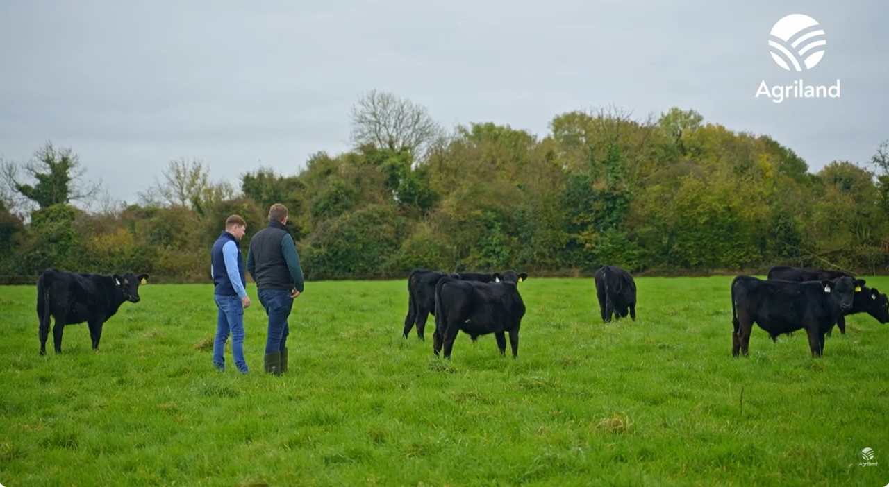 Watch: Managing a self-build and buying calves with no up-front payment
