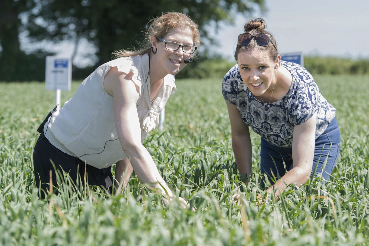 Department open day highlights top standards of Irish crops and seed