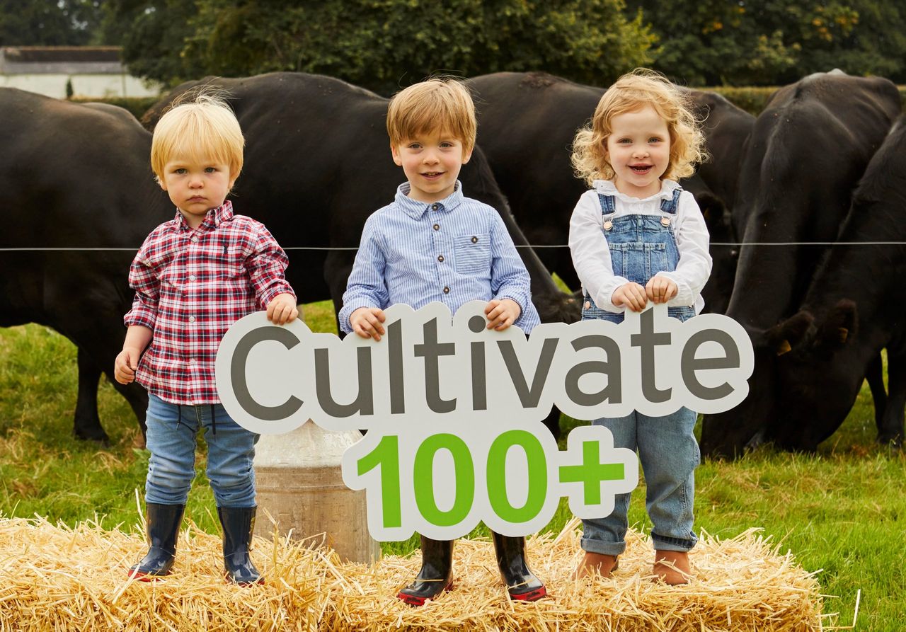 Cultivate finance lending platform sees beef farmers apply for most loans