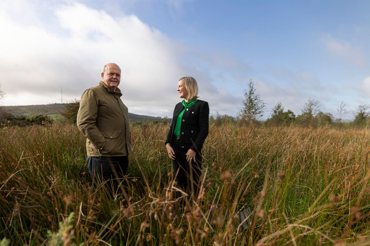 AIB targets net zero in 2050 on its financed emissions in agriculture